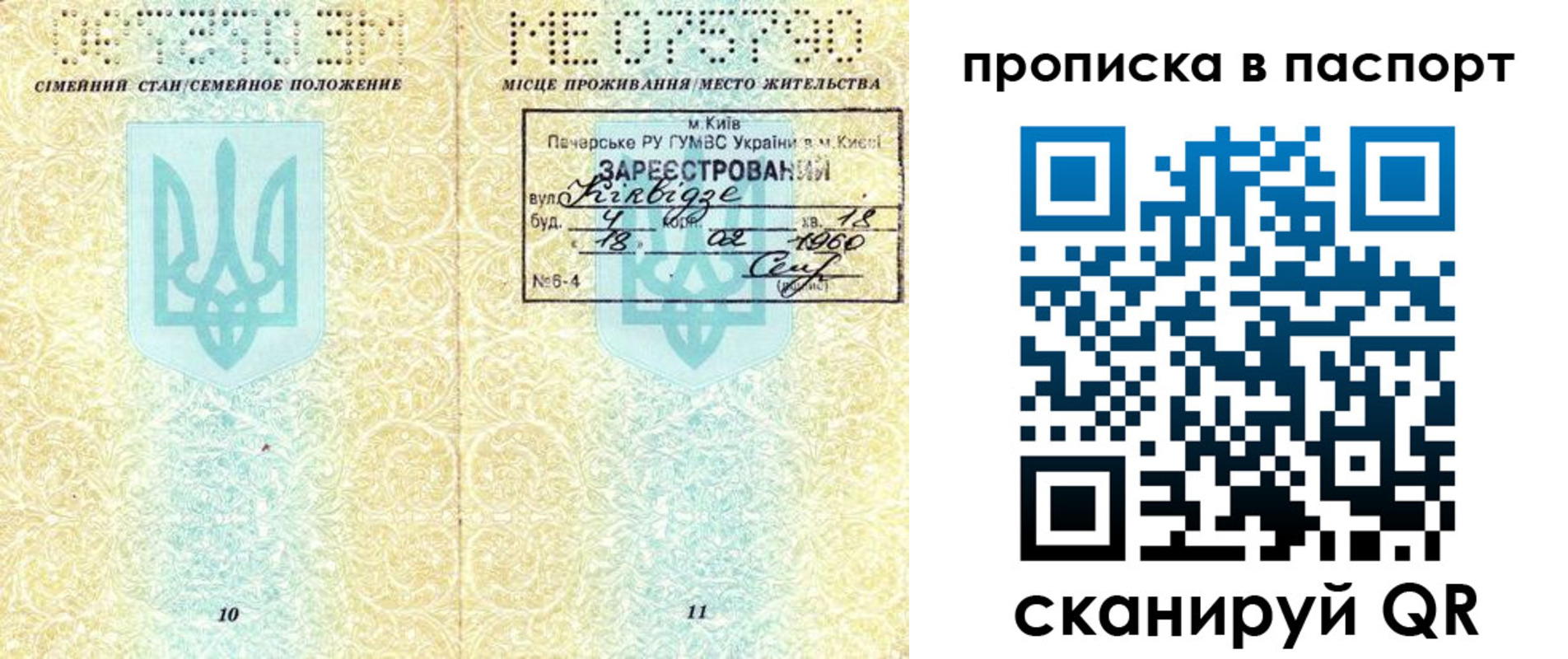 регистрация в Елизово